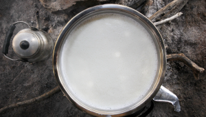 photo article lait de chèvre