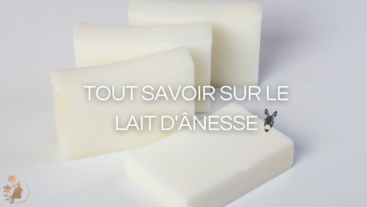 photo d'article lait d'ânesse3