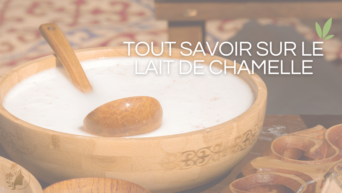 article photo couverture lait de chamelle